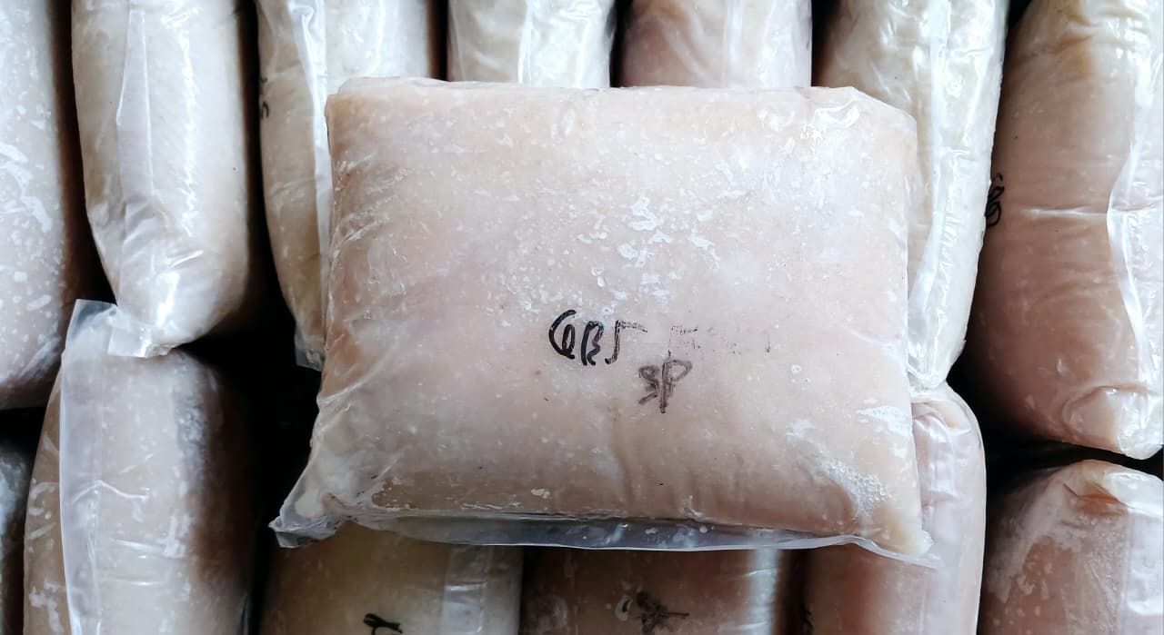 Ikan Giling Frozen Good Fish